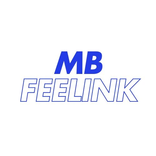 MBFEELINK